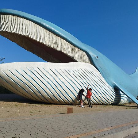 Szyper Pokoje Władysławowo Dış mekan fotoğraf
