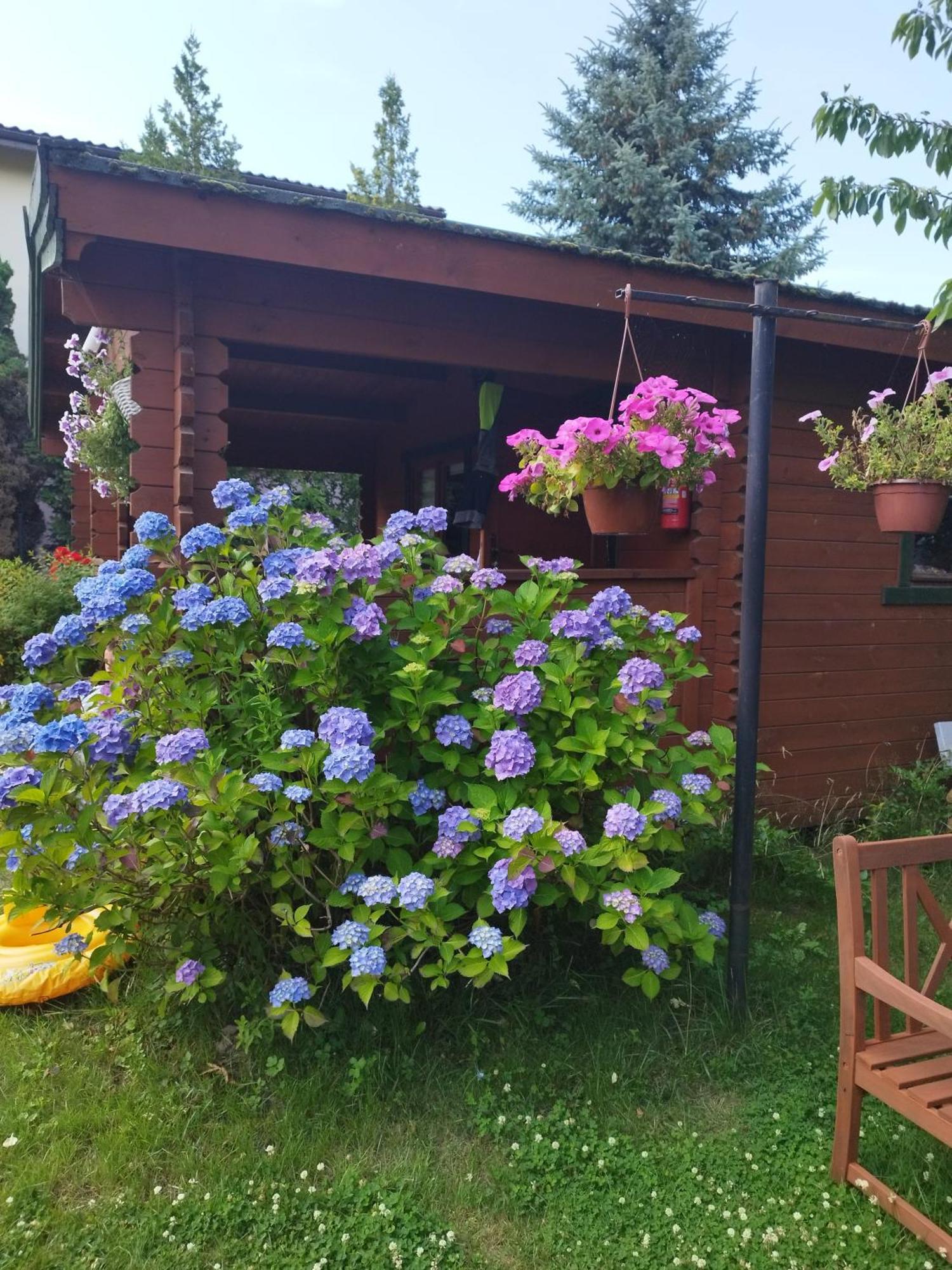 Szyper Pokoje Władysławowo Dış mekan fotoğraf